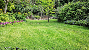 Pest Control Beaumont Services
